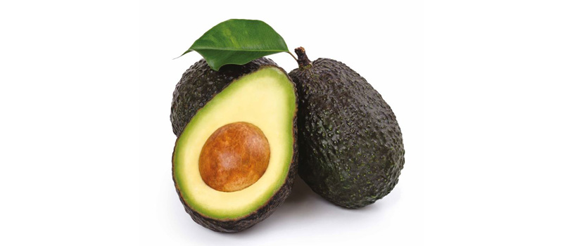 Avocado_Reception 