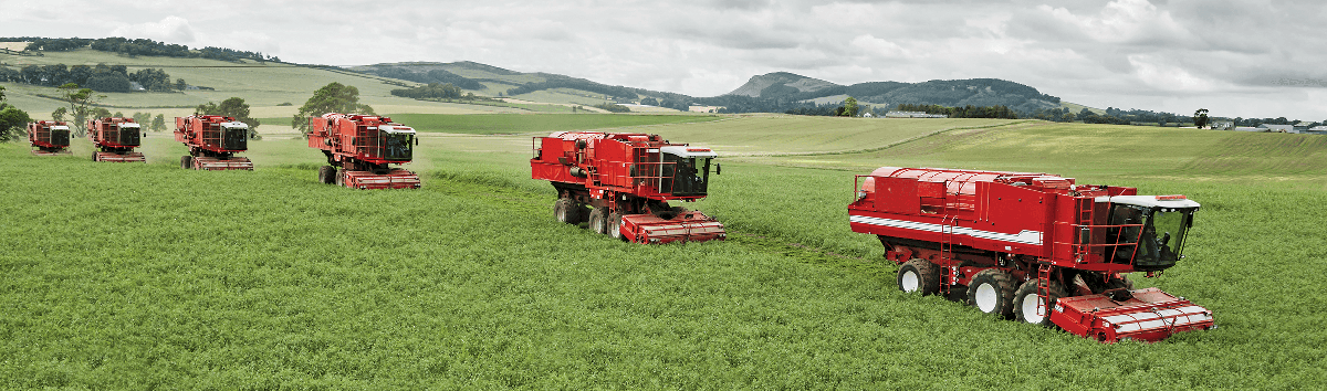 Harvest peas banner flip