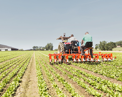 Les producteurs