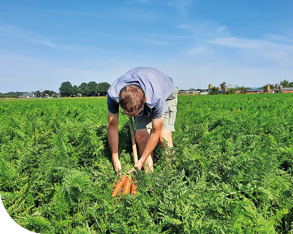 Sustainable agriculture