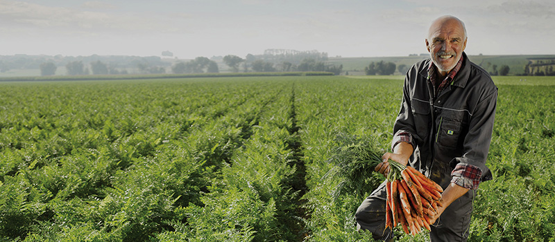 gyfrozen_farmer_with_carrots