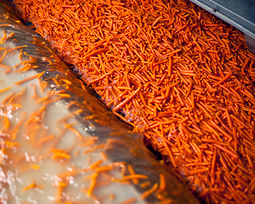 washed carrots