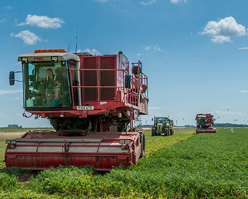 Frozen harvesting