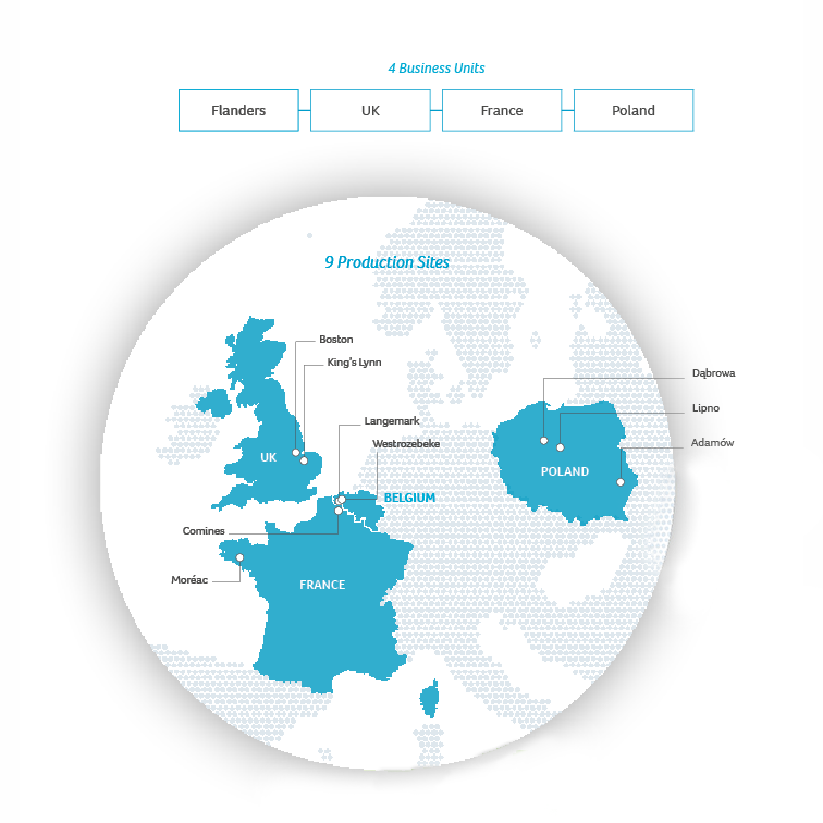 Sales network Frozen