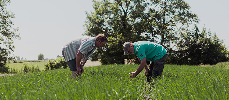 gyfrozen_partnership_farmers_power