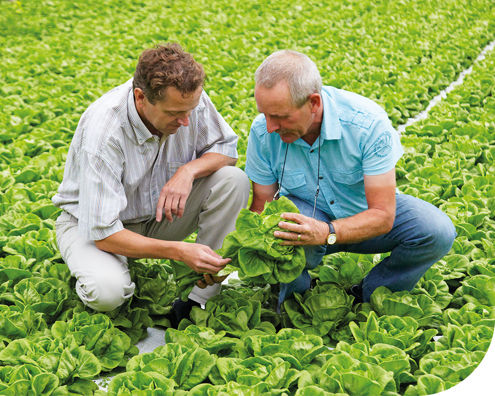 agricultor