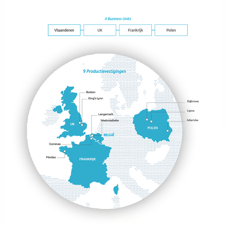 Sales network Frozen