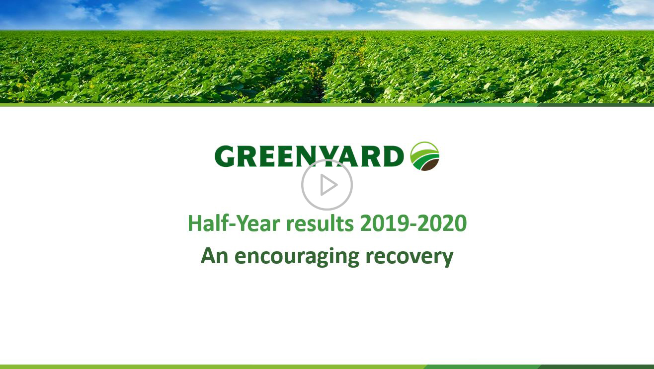 HY results 2019-2020